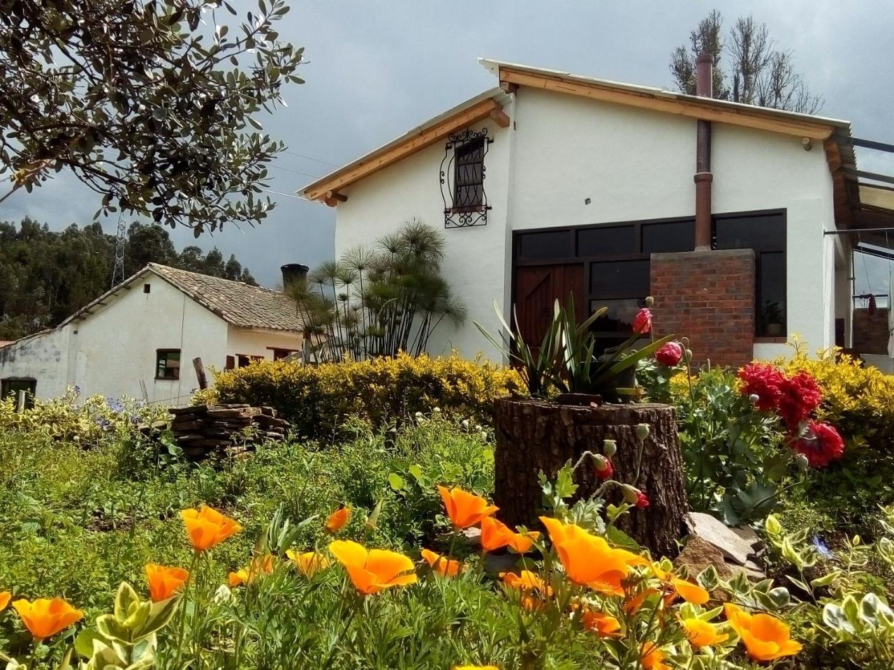Cabañas&Glamping ILLARI Boutique Paipa Extérieur photo